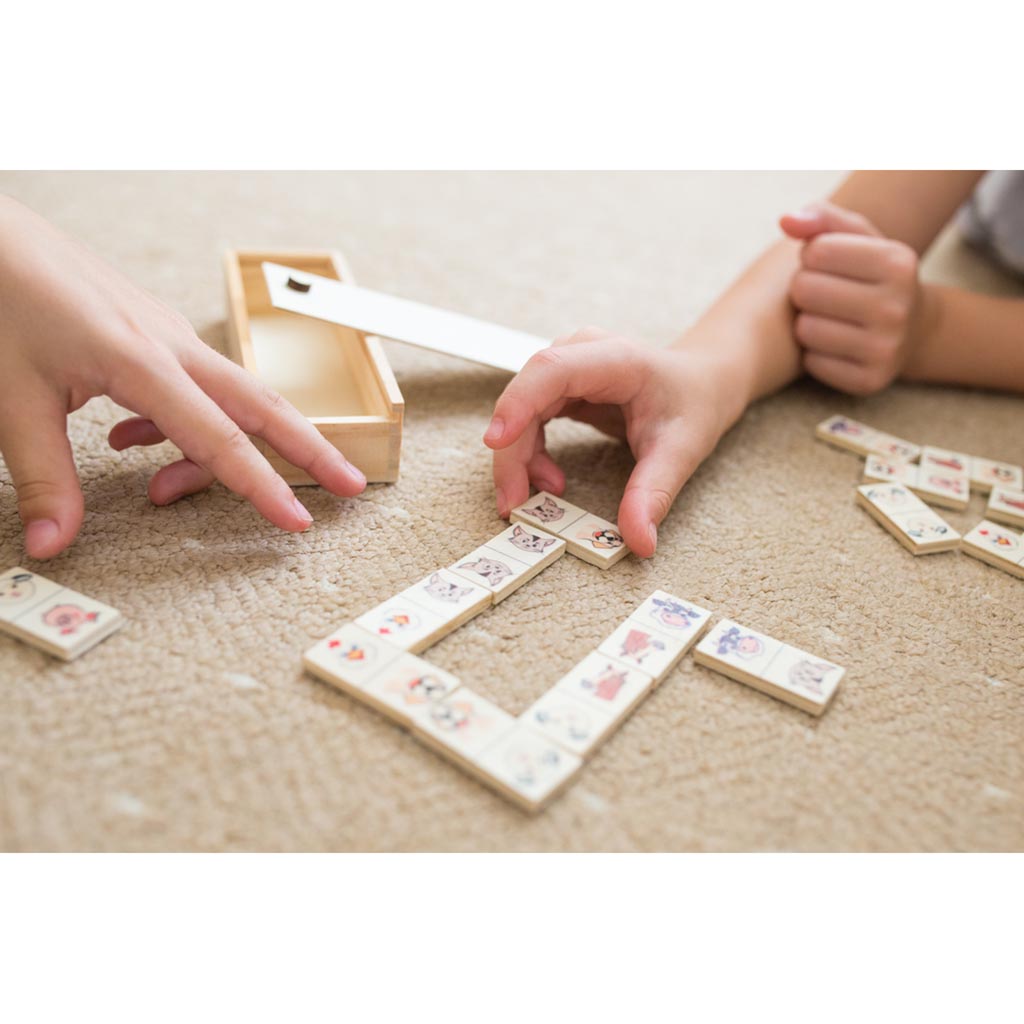 clients/infiniprinting/ax/photos_BD/AX15227-P9-Jeu-de-dominos-dans-|-Tiernan-publicitaire-bois.jpg